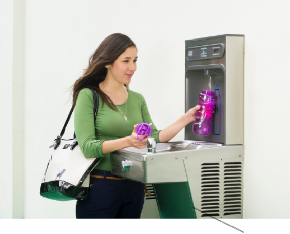 Novemark - HALSEY TAYLOR